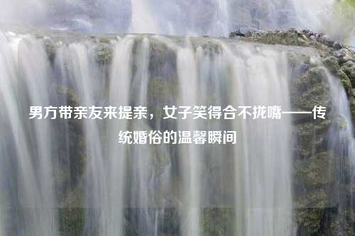男方带亲友来提亲，女子笑得合不拢嘴——传统婚俗的温馨瞬间