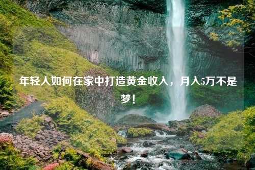 年轻人如何在家中打造黄金收入，月入5万不是梦！