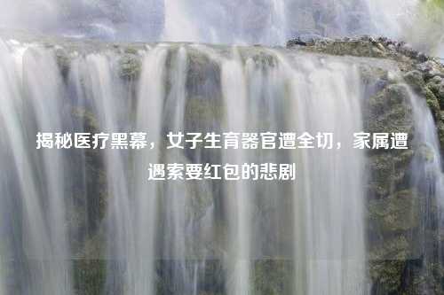 揭秘医疗黑幕，女子生育器官遭全切，家属遭遇索要红包的悲剧