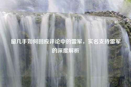 留几手如何回应评论中的雷军，实名支持雷军的深度解析