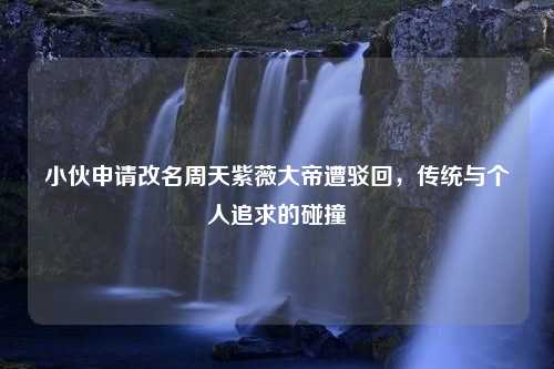 小伙申请改名周天紫薇大帝遭驳回，传统与个人追求的碰撞