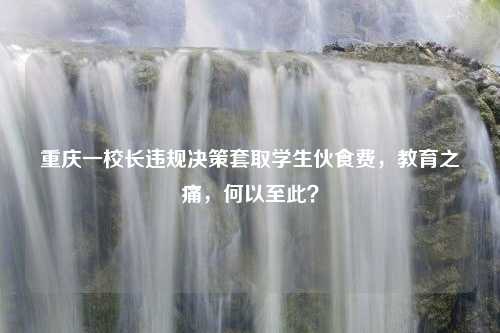 重庆一校长违规决策套取学生伙食费，教育之痛，何以至此？