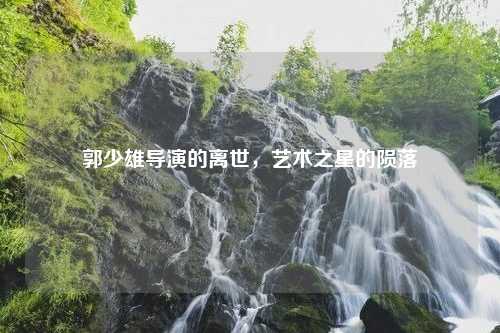 郭少雄导演的离世，艺术之星的陨落